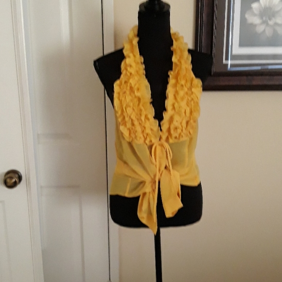 Sheer Ruffled Summer Top - Picture 1 of 7